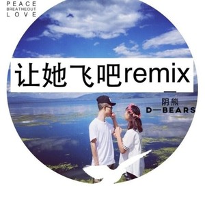 阴熊hero - 让他飞吧 (Remix)