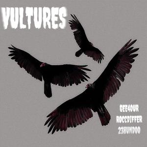 Vultures (feat. RoccDiffer & 23hundoo) [Explicit]