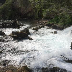 Vive (feat. ARC) (Explicit)