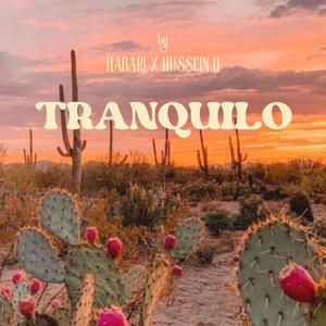 Tranquilo (feat. Hussein 0) (Explicit)