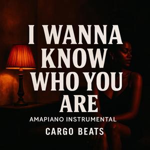 I Wanna Know Who You Are