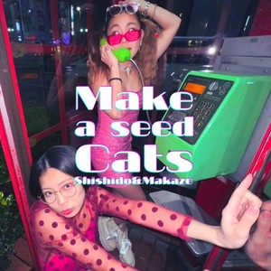 Make a seed Cats