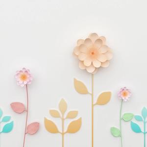 四朵小花的旋律