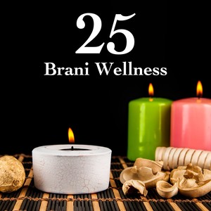 25 Brani Wellness: Musica Rilassante New Age per Rilassare Mente Corpo e Spirito