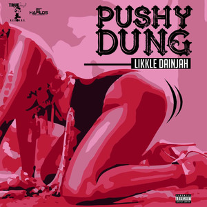 Pushy Dung (Inst.)