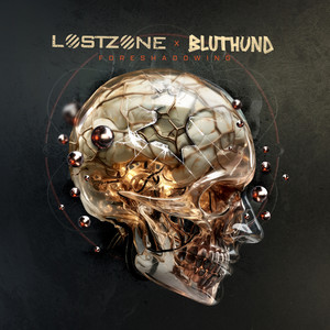 Foreshadowing (Explicit)