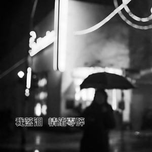 我落泪情绪零碎 (0.8x)