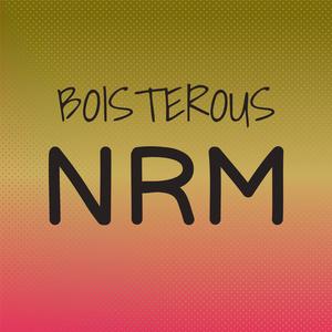 Boisterous Nrm