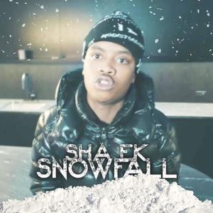 Snowfall (feat. Sha Ekk) (Explicit)