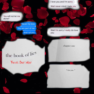 Book Of Lies