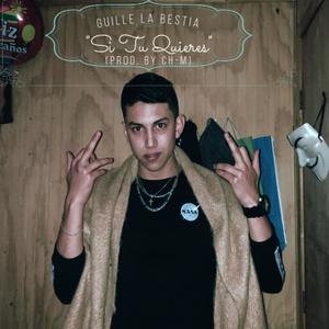 Si Tu Quieres
