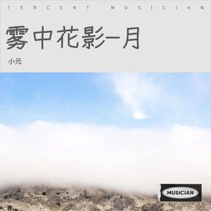 雾中花影-月