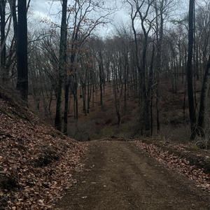 Landslide (COVER版)