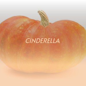 Cinderella