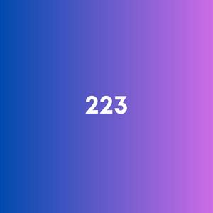 223 (feat. Bargholz)