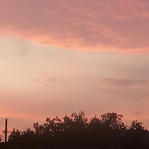 signs of the past (feat. lon3teuer & thesisfrance) (Explicit)