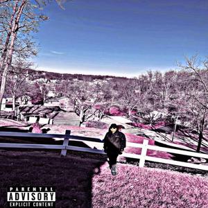 100 DEGREE$ (Explicit)