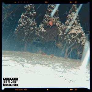 Winter Fallout (Explicit)