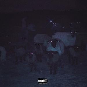 NX SHLEEP (Explicit)