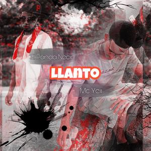 LLANTO (feat. El Panda Necio) (Explicit)