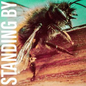 Apreggio for Strings