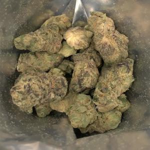 Pablo's Revenge (Explicit)