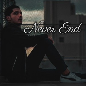 Never End (Remix)