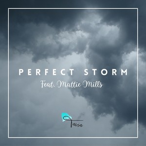 Perfect Storm (feat. Mattie Mills)