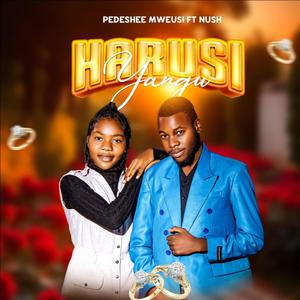 Harusi Yangu (feat. Nush) [Explicit]