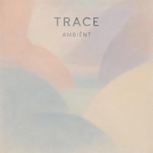 Trace