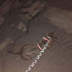 Bta Season (Explicit)