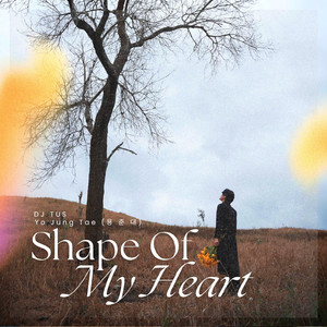 Shape Of My Heart (Emotional Piano)