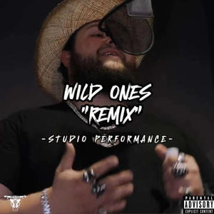 Wild Ones (Remix|Explicit)