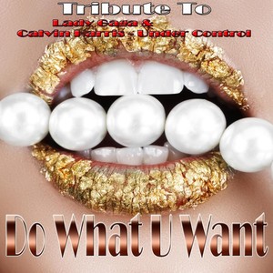 Do What U Want / Under Control: Tribute to Lady Gaga, Calvin Harris (Explicit)