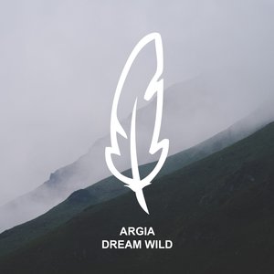 Dream Wild (Stil & Bense Remix)