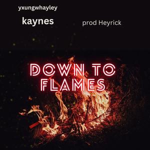 down to flames (Explicit)