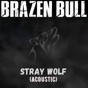 Stray Wolf (Acoustic Version)