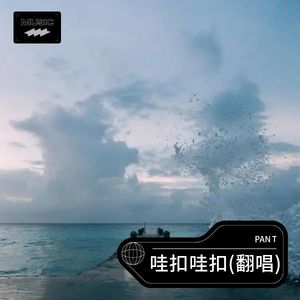 哇扣哇扣 (PANT remix)