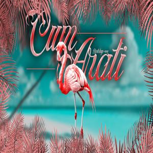 CUM ARATI (Explicit)