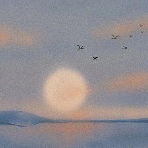 周深-起风了（钢琴） (杨章隐 remix)