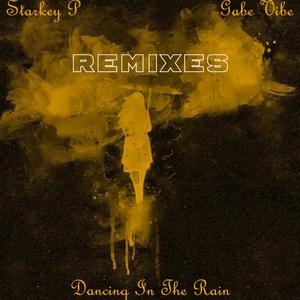 Dancing In The Rain (DJ Lix Remix)