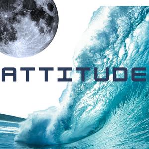 Attitude
