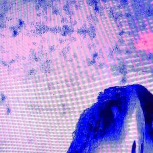strawberrybarf (Explicit)