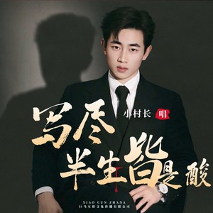 写尽半生皆是酸 (恰恰版)