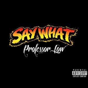 Say What (feat. Twisted Insane|Explicit)