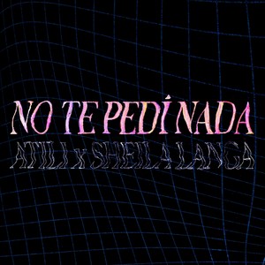 No Te Pedí Nada