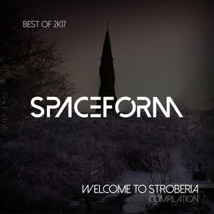 From the Heigh of Birds Flight