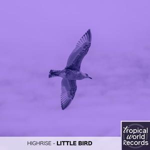 Little Bird (Original Mix)