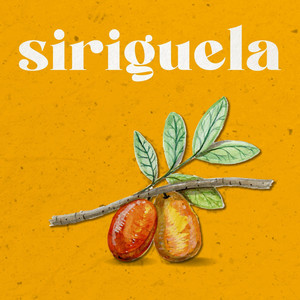 Siriguela