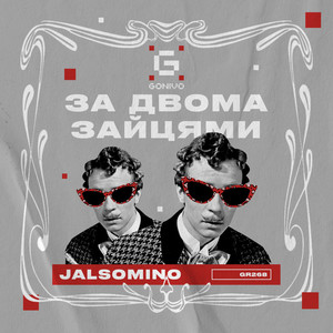 За двома зайцями